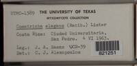Image Associated With the Occurence